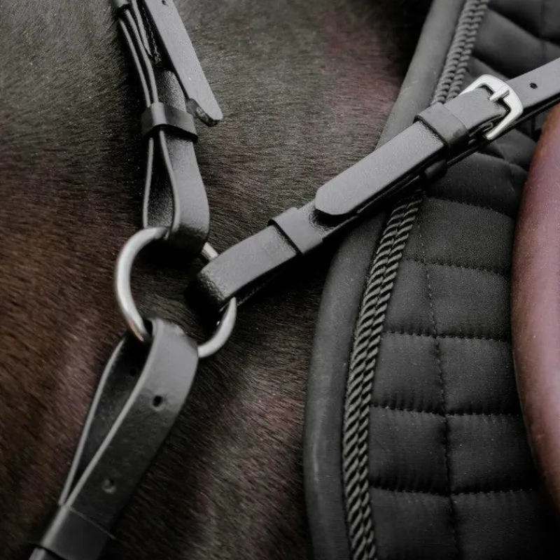 Colliers De Chasse*Norton - Collier de chasse endurance Pop Noir