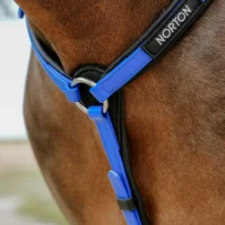 Discount - Collier de chasse endurance Pop électrique Colliers De Chasse