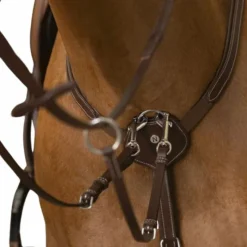 New - Collier de chasse pro Confort havane Colliers De Chasse