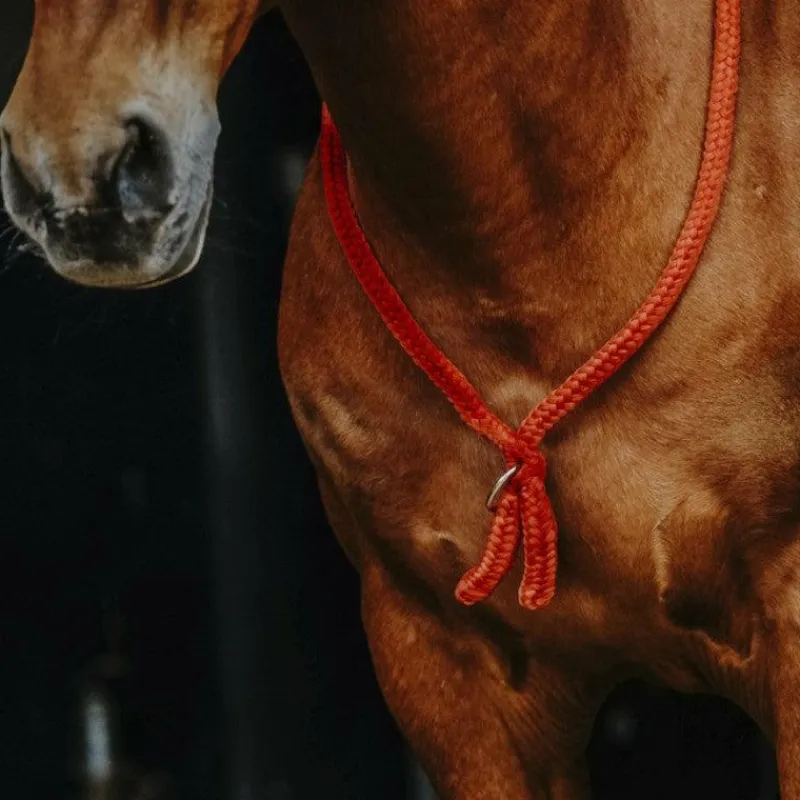 Cordelettes*Norton - Cordelette/ Collier éthologique Marine