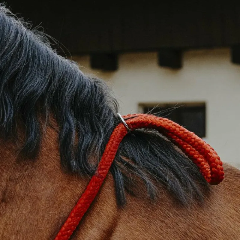 Cordelettes*Norton - Cordelette/ Collier éthologique Marine
