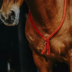 Sale - Cordelette/ Collier éthologique Cordelettes