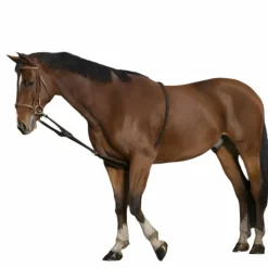 Enrênements Poneys|Enrênements Coton*Norton - Enrênement extenseur doux Marron