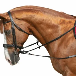 Best - Enrênement élastique court/poulies noir Rênes Fixes