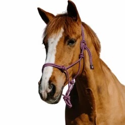 Sale - Ensemble licol éthlogique et longe Duo / noir Ensembles Licols Et Longes