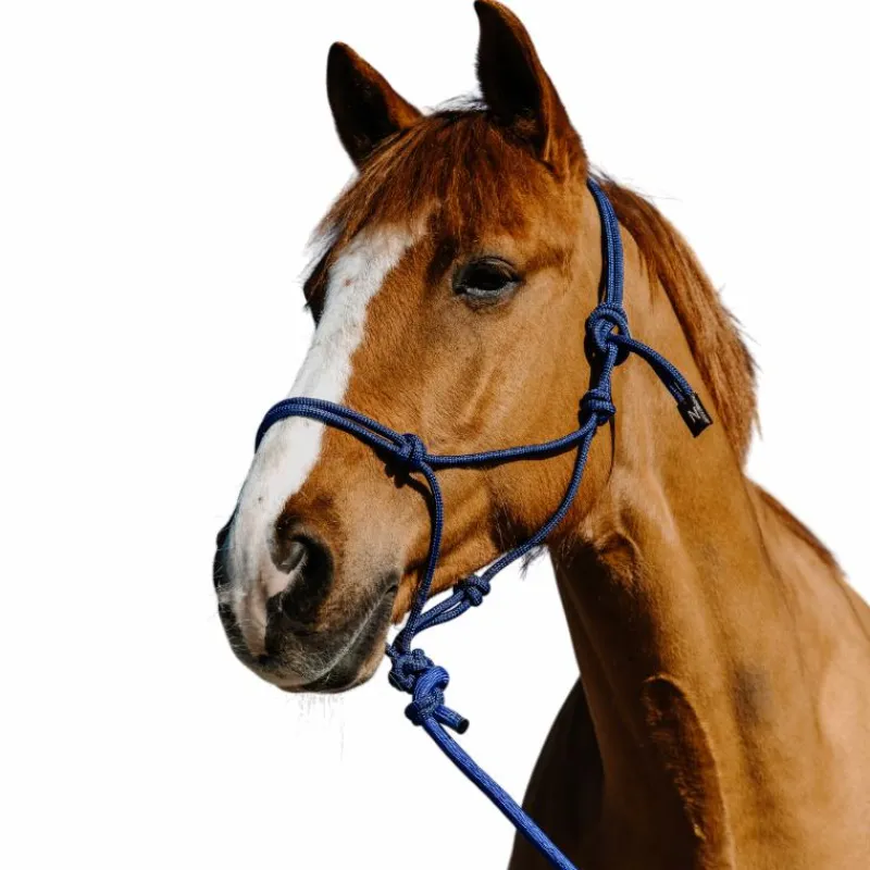 Hot - Ensemble licol éthlogique et longe Duo / noir Ensembles Licols Et Longes