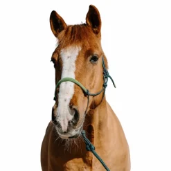 Ensembles Licols Et Longes*Norton - Ensemble licol éthologique et longe Suède foncé/ clair Vert