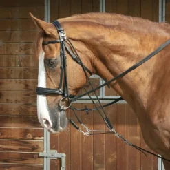 Best - Gogue à poulies Enrênements Poneys|Gogues