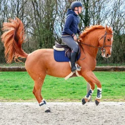 Cso|Guêtres Ouvertes Poneys*Norton - Guêtres cheval XTR à boutons mouton marine x2
