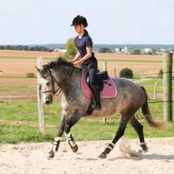 Cso|Guêtres Ouvertes Poneys*Norton - Guêtres cheval XTR à boutons mouton marine x2