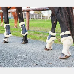 Cso|Guêtres Ouvertes Poneys*Norton - Guêtres cheval XTR à boutons mouton marine x2