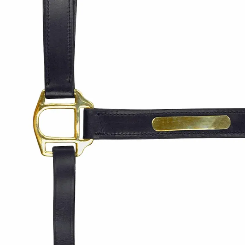 Outlet - Licol à double réglage noir Licols En Cuir