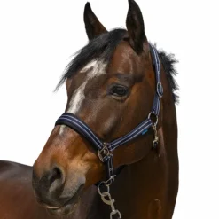 Licols Poneys*Norton - Licol 4 Lines Marine