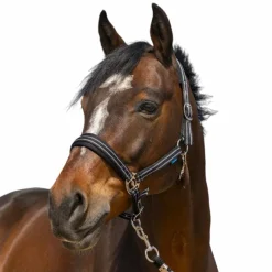 Outlet - Licol 4 Lines Licols Poneys