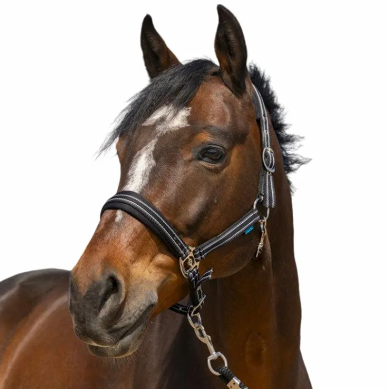 Outlet - Licol 4 Lines Licols Poneys