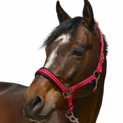 Discount - Licol 4 Lines Licols Poneys