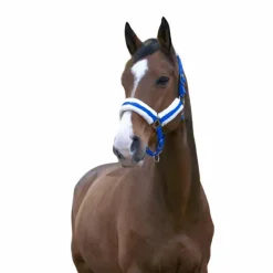 Licols Poneys|Licols Avec Mouton*Norton - Licol Confort bleu vif