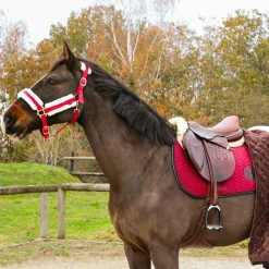 Licols Poneys|Licols Avec Mouton*Norton - Licol Confort /bouclerie or rose Bordeaux