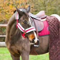 Licols Poneys|Licols Avec Mouton*Norton - Licol Confort /bouclerie or rose Bordeaux