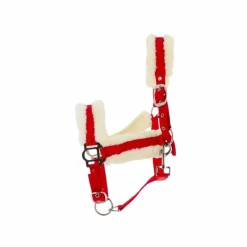 Licols Poneys|Licols Avec Mouton*Norton - Licol Confort framboise