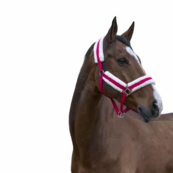 Licols Poneys|Licols Avec Mouton*Norton - Licol Confort framboise