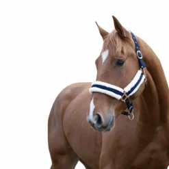 Licols Poneys|Licols Avec Mouton*Norton - Licol Confort /bouclerie or rose Marine