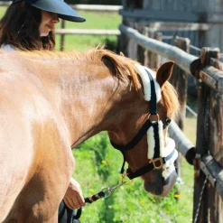 Licols Poneys|Licols Avec Mouton*Norton - Licol Confort /bouclerie or rose Marine