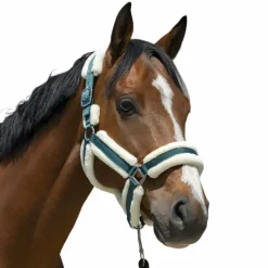 Online - Licol Cosy foncé Licols Poneys