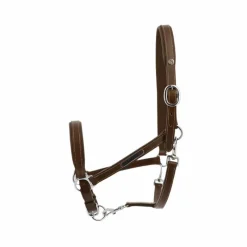 Best - Licol cuir grooming havane Grooming|Licols En Cuir