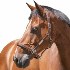 Best - Licol cuir grooming havane Grooming|Licols En Cuir