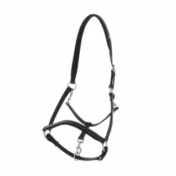 Hot - Licol cuir grooming Grooming|Licols En Cuir