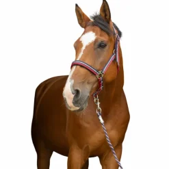 Licols Poneys|Ensembles Licols Et Longes*Norton - Licol et longe brillant / marine/ argenté Rouge