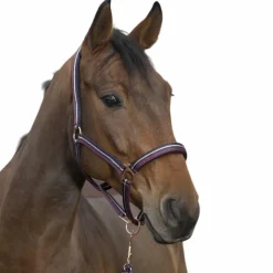 Licols Poneys|Ensembles Licols Et Longes*Norton - Licol et longe brillant prune/ marine/ or rose Bordeaux