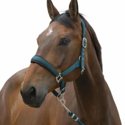 Sale - Licol et longe Large foncé Ensembles Licols Et Longes