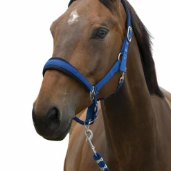 Ensembles Licols Et Longes*Norton - Licol et longe Large Bleu