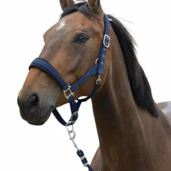 Sale - Licol et longe Large Ensembles Licols Et Longes
