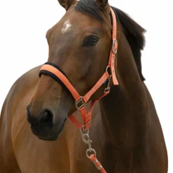 Sale - Licol et longe Large corail Ensembles Licols Et Longes