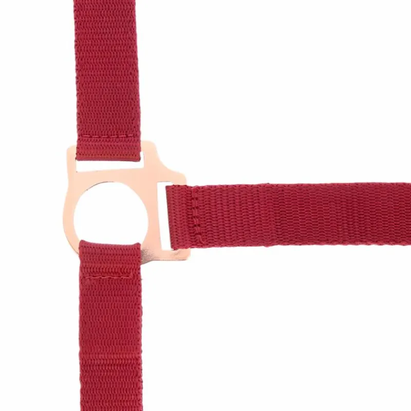 New - Licol et longe nylon rose gold/ Licols Poneys|Ensembles Licols Et Longes