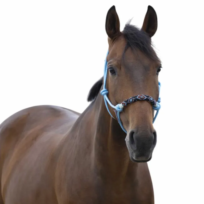 Hot - Licol ethologique pearl bleu Licols Poneys|Licols Éthologiques