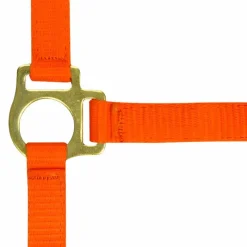 Élevage*Norton - Licol foal + longe orange