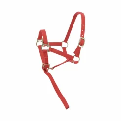 Élevage*Norton - Licol foal + longe rouge