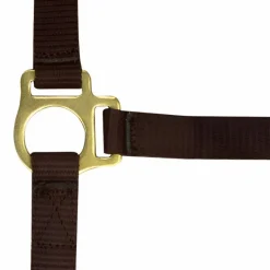 Discount - Licol foal + longe brun Élevage|Licols Foals