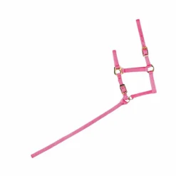 - Licol foal + longe rose Élevage