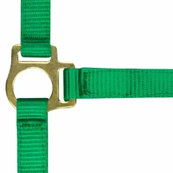 Élevage*Norton - Licol foal + longe vert foncé