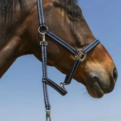 Clearance - Licol Grooming Licols Poneys