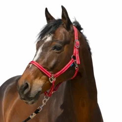 Licols Poneys*Norton - Licol Grooming Rouge