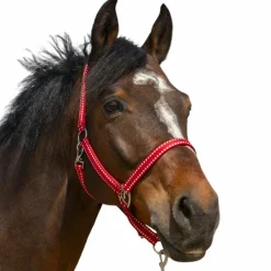 Licols Poneys*Norton - Licol Grooming Rouge