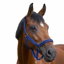 Licols Poneys|Licols En Nylon*Norton - Licol nylon doublé néoprène bleu/ noir