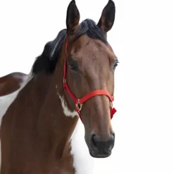 New - Licol nylon double épaisseur rouge Licols Poneys|Licols En Nylon