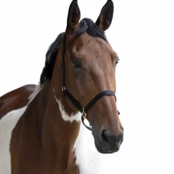 Licols Poneys|Licols En Nylon*Norton - Licol nylon double épaisseur noir